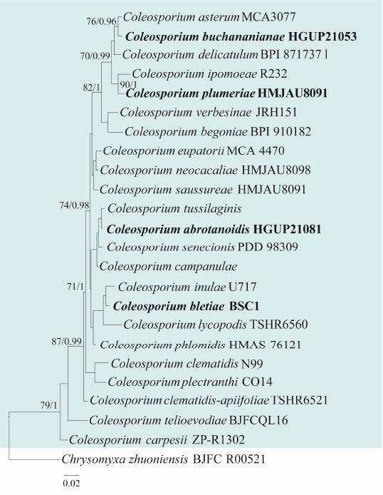 Figure 2